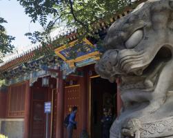 Peking University Tour